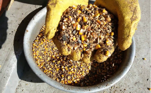 корм для курей